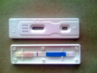 homemade pregnancy test